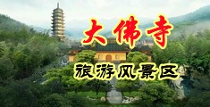 色逼鸡巴污污黄片中国浙江-新昌大佛寺旅游风景区